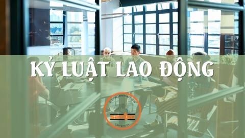 C&B - Xử lý kỉ luật lao động